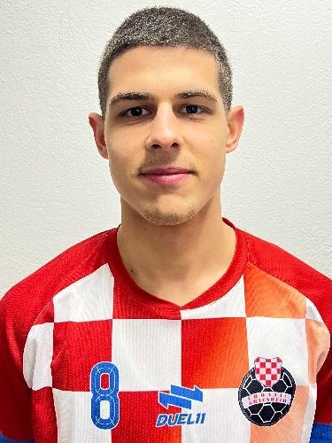 Branimir Zivic