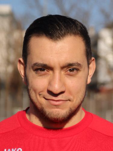 Giovanni Fichera