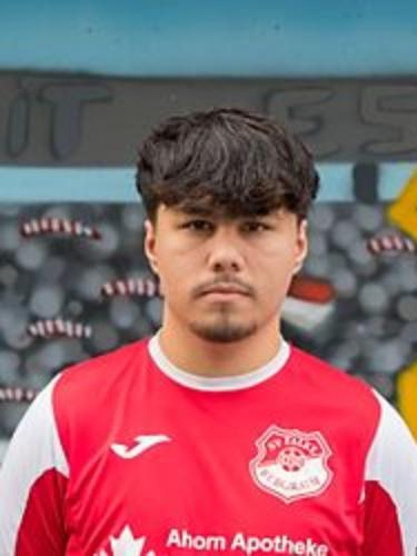Qaiss Ali