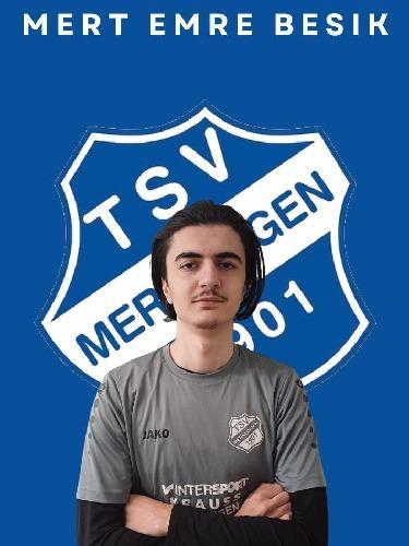 Mert Emre Besik