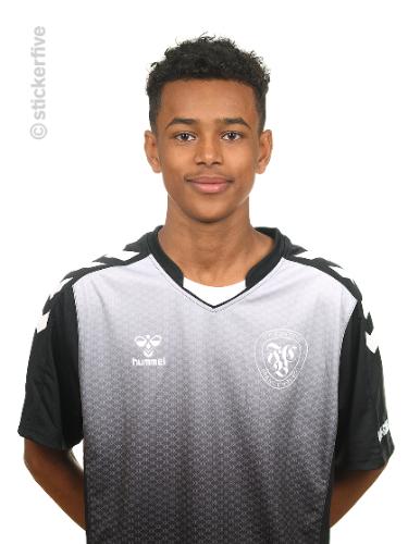 Essay Aman Andebrhan