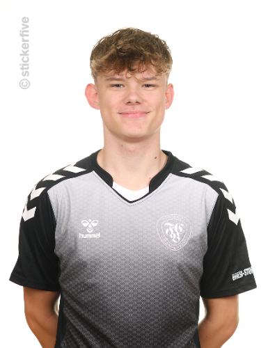 Felix Friedel