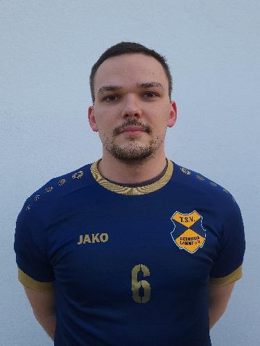 Alexander Dingis
