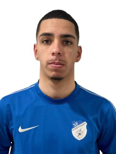 David Miranda Truelsen