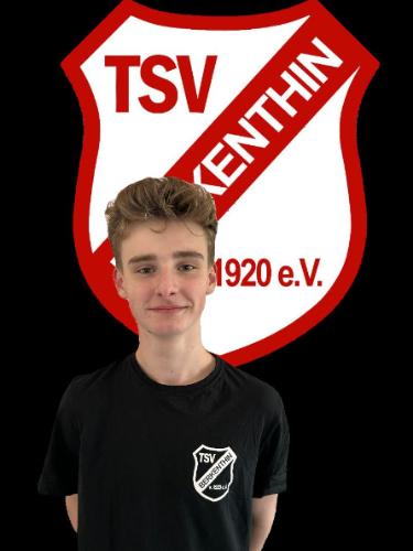 Johannes Cord Otto Wulff-Thaysen