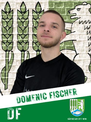 Domenic Fischer