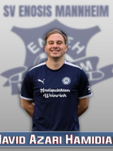 Navid Azari Hamidian