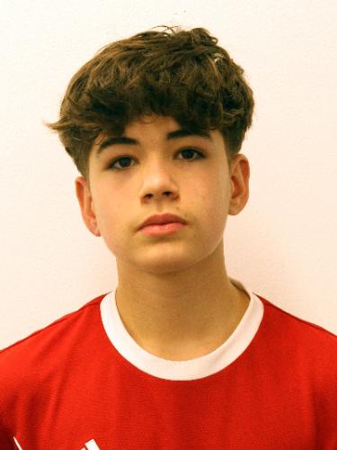 Luca Saur
