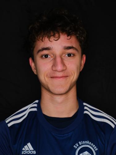 Pedro Henrique Dos Santos Cogo