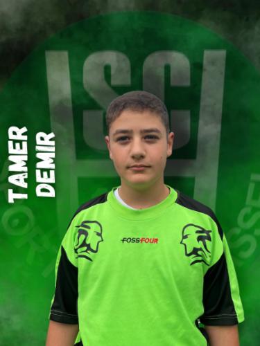 Tamer Demir