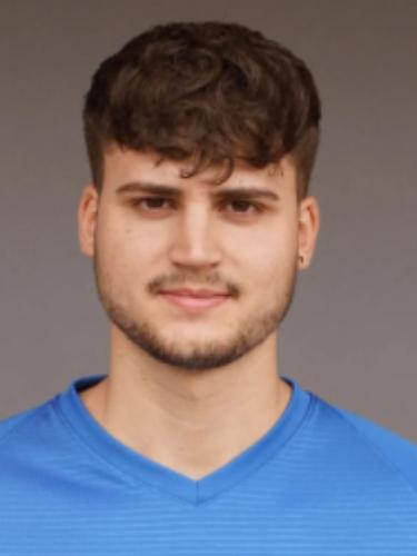 Ugo de Luca