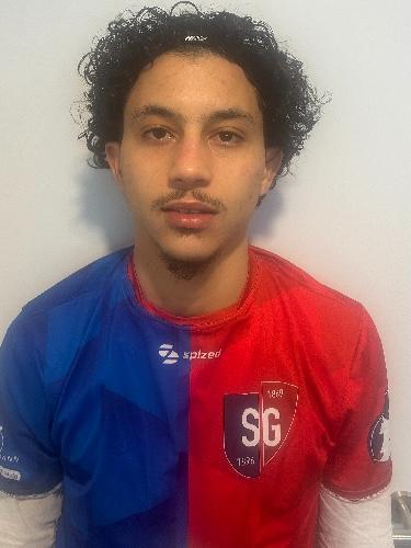 Vassim Hannachi