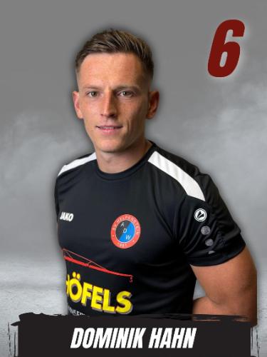 Dominik Hahn