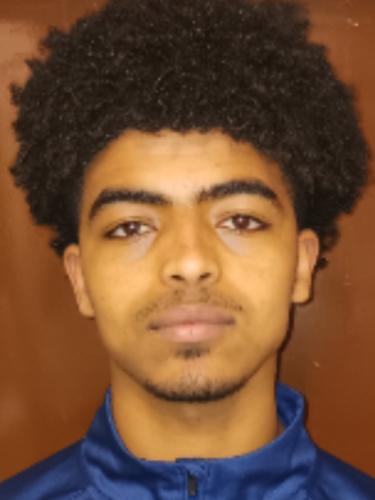 Henok Fitsihatsen Mulubrhan