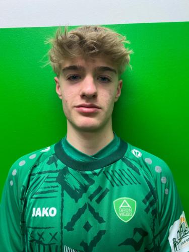 Louis Peter Stellwagen