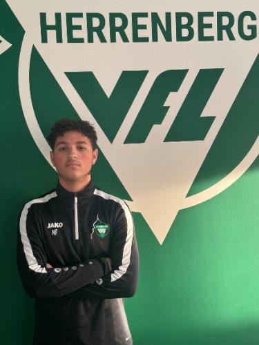 Nikolaos Fronimopoulus