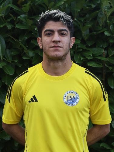 Moein Alipour
