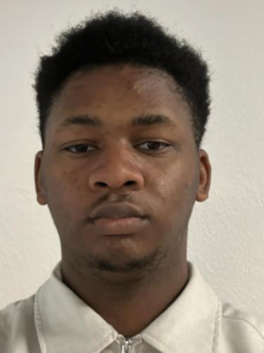 Emmanuel Oluwafemi Bouscheljong