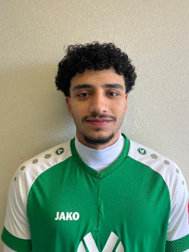 Ali Khaled Shahir Rabie