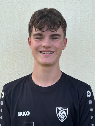 Willy Hans Wiedemann