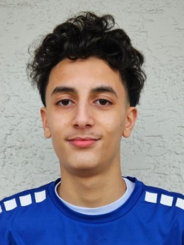 Mehdi Lanjeri