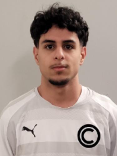 Mohamed Hemeed