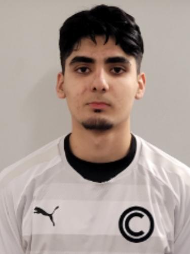 Mohammad Adel Mangal