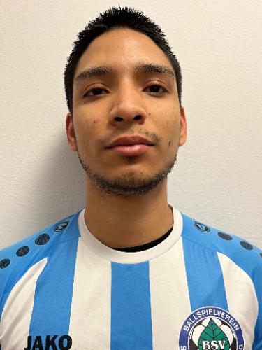 Brian David Pulido Monsalve