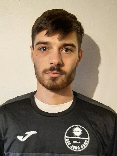 Alexandru-Ionut Vulpe