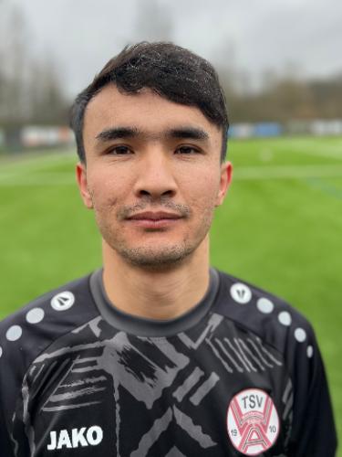 Hadi Karimi