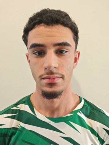 Alaa Al-Assi