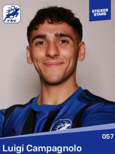 Luigi Campagnolo