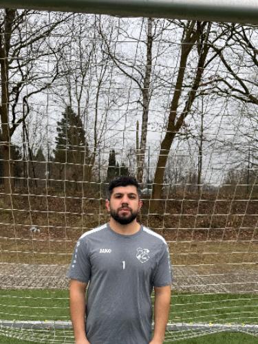 Mohamad Mohi Aldin