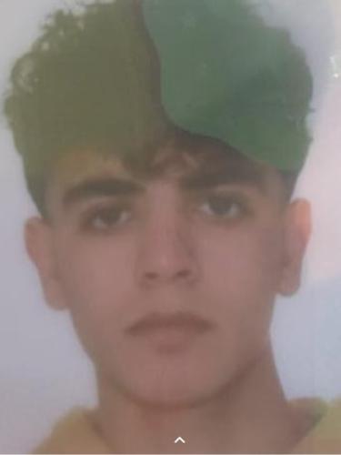 Nasseddin Hamadaldarwich