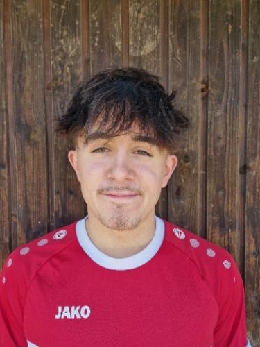 Gabriel Ferreira Alves