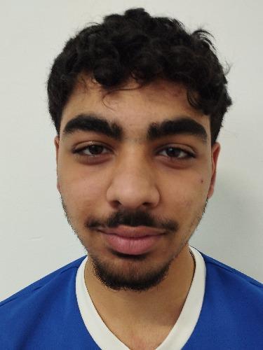 Ehsan Natawan