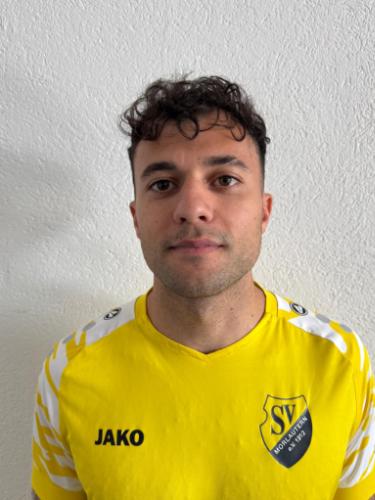 Waleed Talal Al-Alem