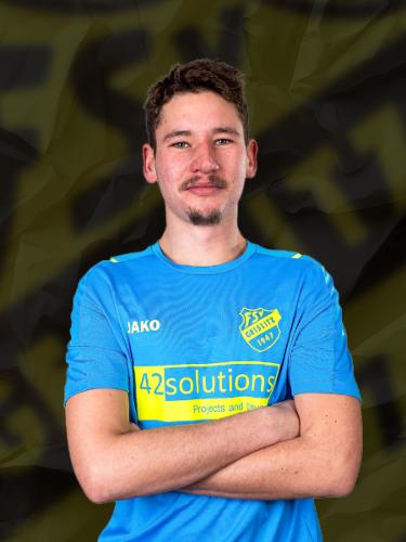 Johannes Bauer