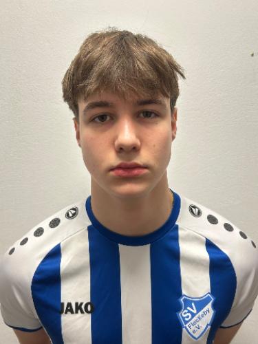 Karl-Ferdinand Stefanovic