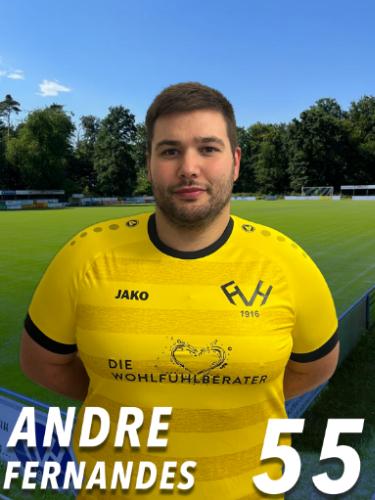 Andre Fernandes da Silva