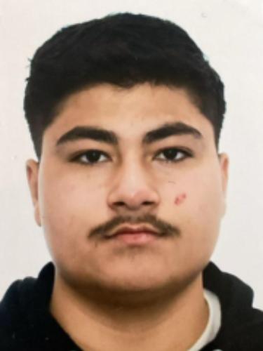 Iso Aram
