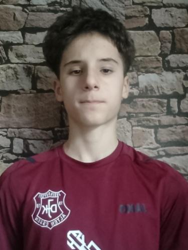 Ledion Arifi
