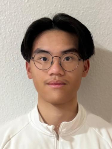 Pham Hoang Anh Nguyen