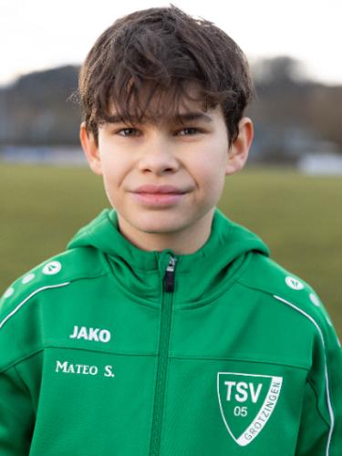 Mateo Tiago Spajic