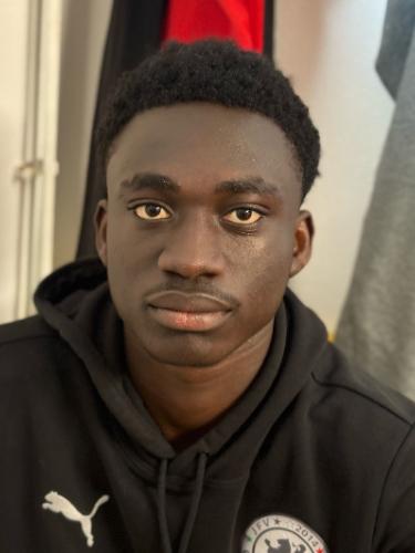 Emmanuel Opoku Boamah