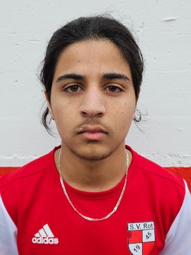 Ahmad Alatieh