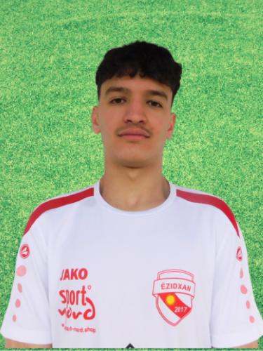 Amir Reza Hussaini
