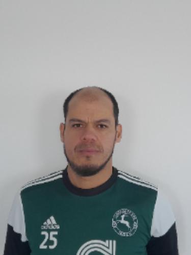 Carlos Gabriel Gonzalo Alonso