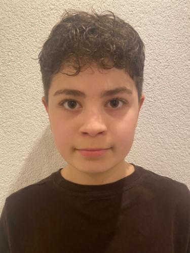 Gian-Luca Diebold