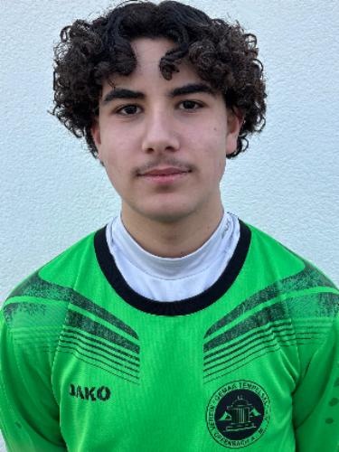 Ali Tenekeci